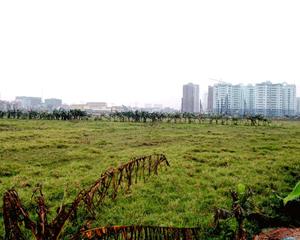 Hà Nội ra tay xử lý hàng loạt dự án treo